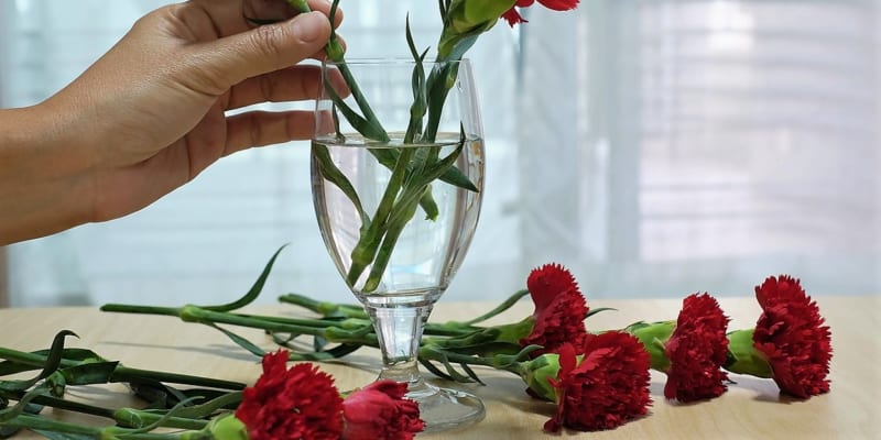 I taková zdánlivá maličkost, jako je vhodná váza, ovlivňuje životnost řezaných květin. Aby kytice zůstala co nejdéle pěkná a čerstvá, musíte použít dokonale čistou nádobu.