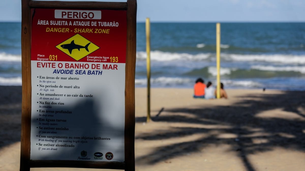 Dva útoky žraloka na člověka během 24 hodin se odehrály na brazilské pláži Piedade ve městě Recife.