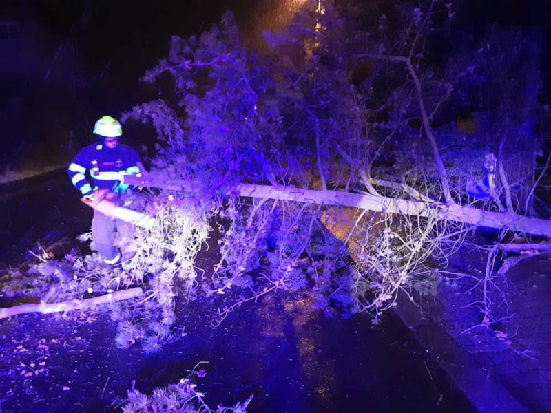 Spadlý strom řešili hasiči v Ústeckém kraji.