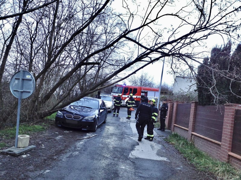 V pražské Troje spadl na auto strom.
