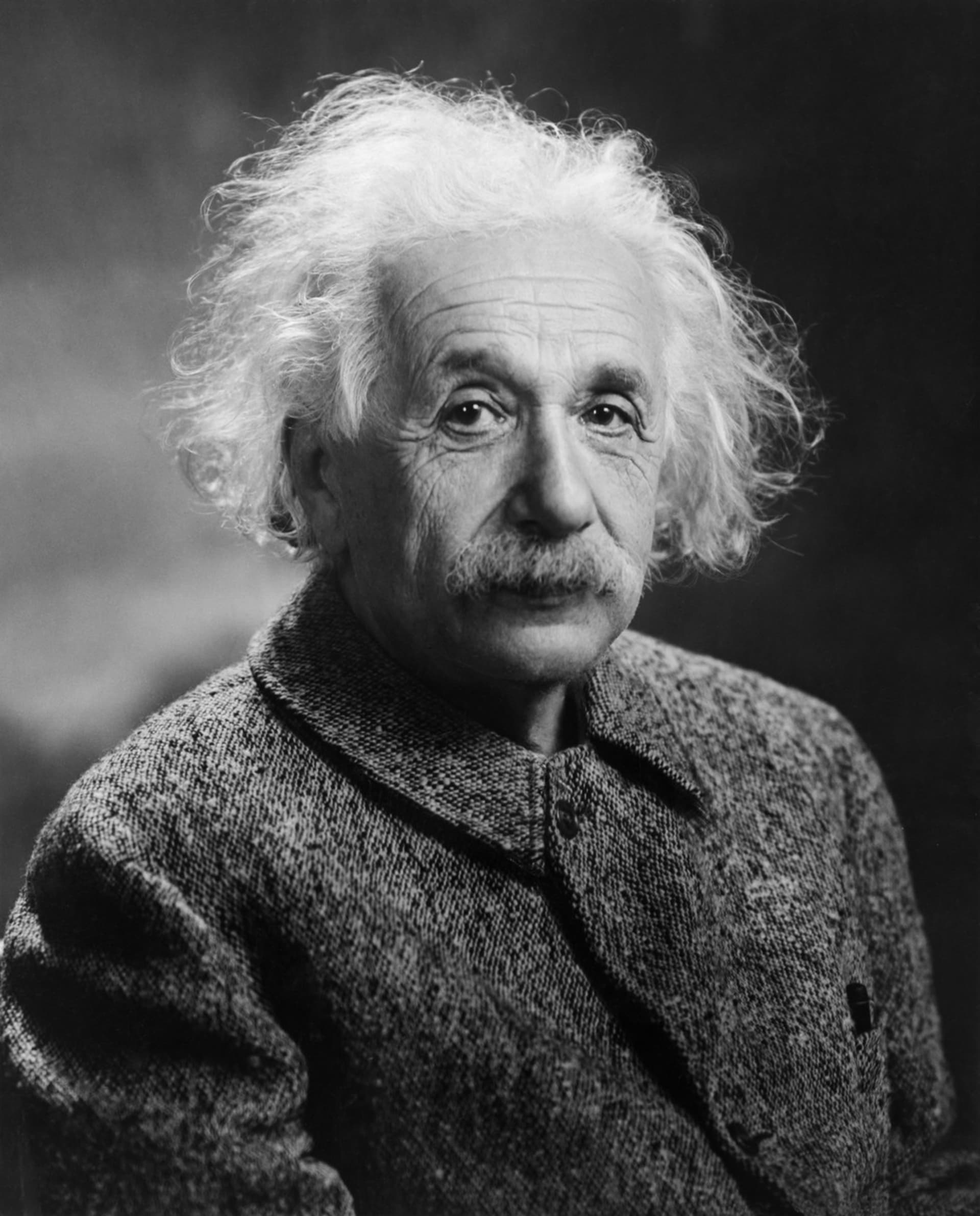 Portrét Alberta Einsteina