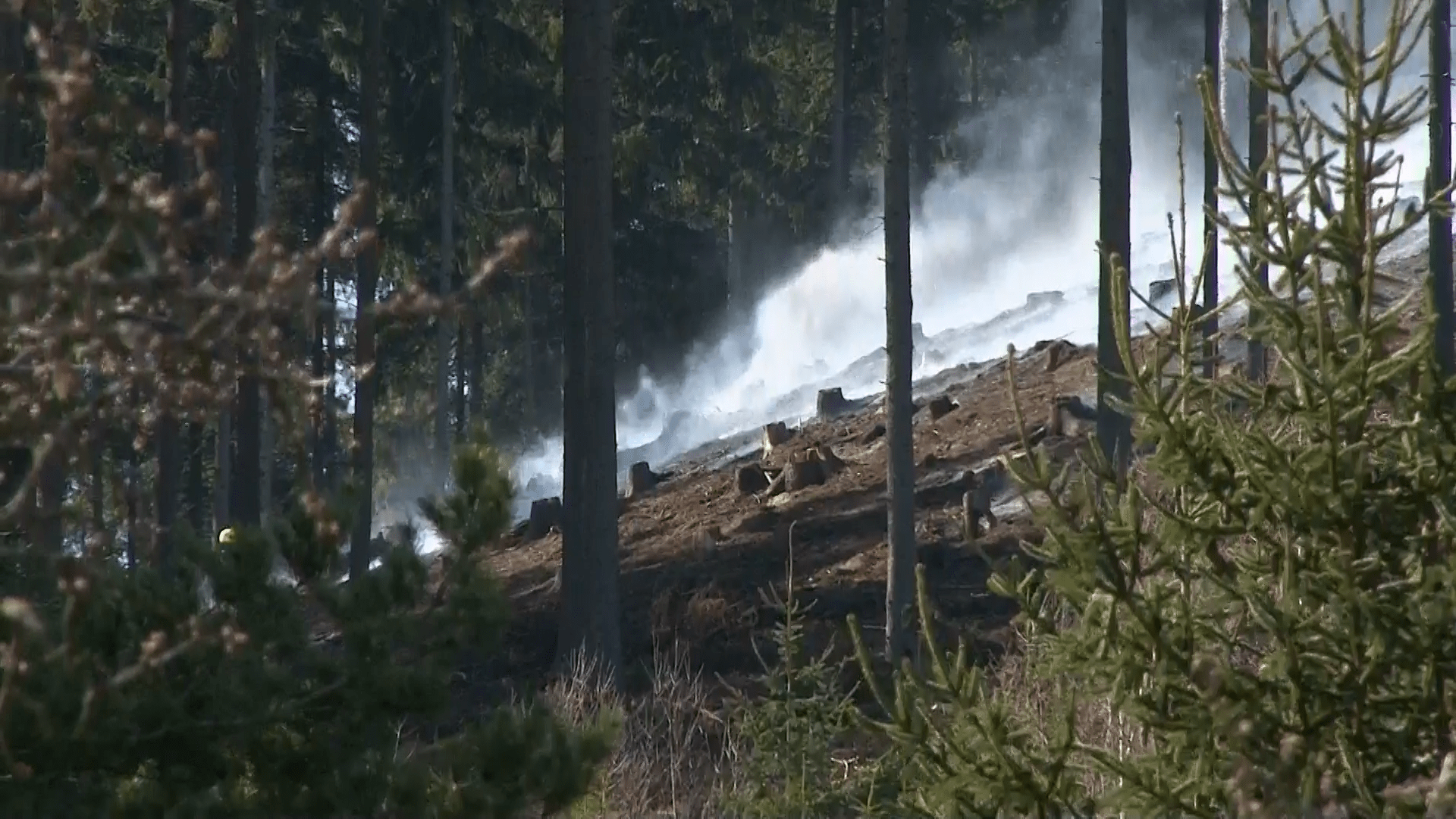 Rozsáhlý požár lesa u Karlových Varů likvidovalo devět jednotek hasičů