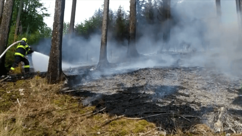 Rozsáhlý požár lesa u Karlových Varů likvidovalo devět jednotek hasičů