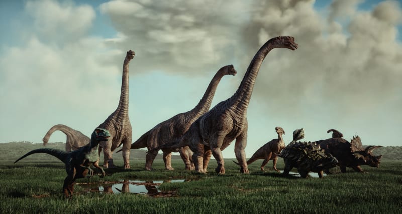 Dlouhý krk a chůze po čtyřech jsou hlavními poznávacími znaky sauropodů