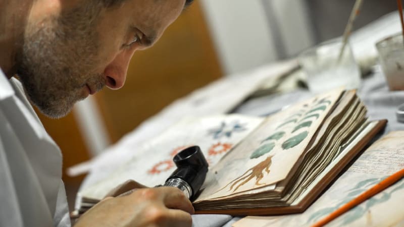 Voynichův rukopis odolává badatelům už desítky let