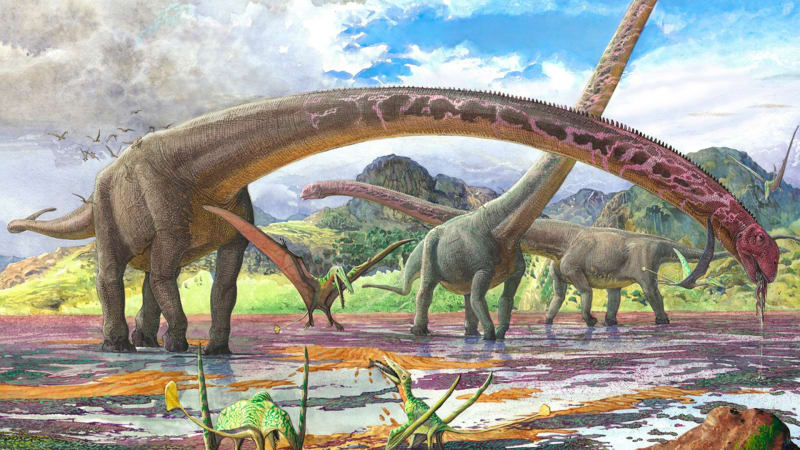 Gigantický dinosaurus přepsal rekordy. Jeho krk byl monstrózní, do hrudi by se vešlo auto
