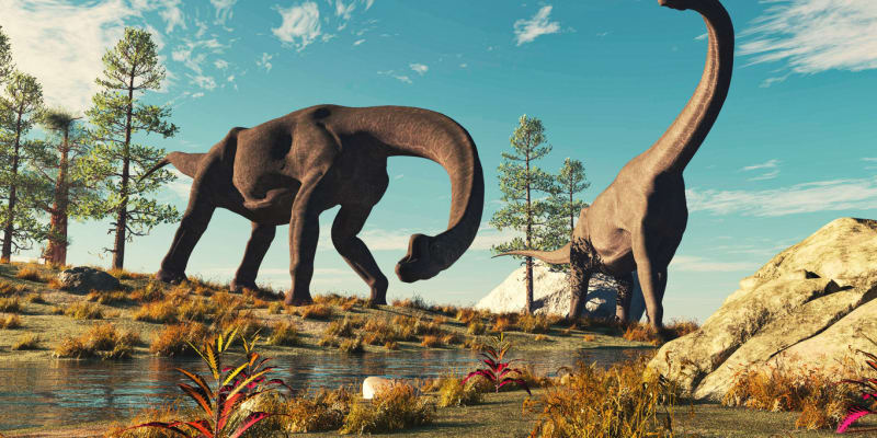 Dlouhý krk a chůze po čtyřech jsou hlavními poznávacími znaky sauropodů
