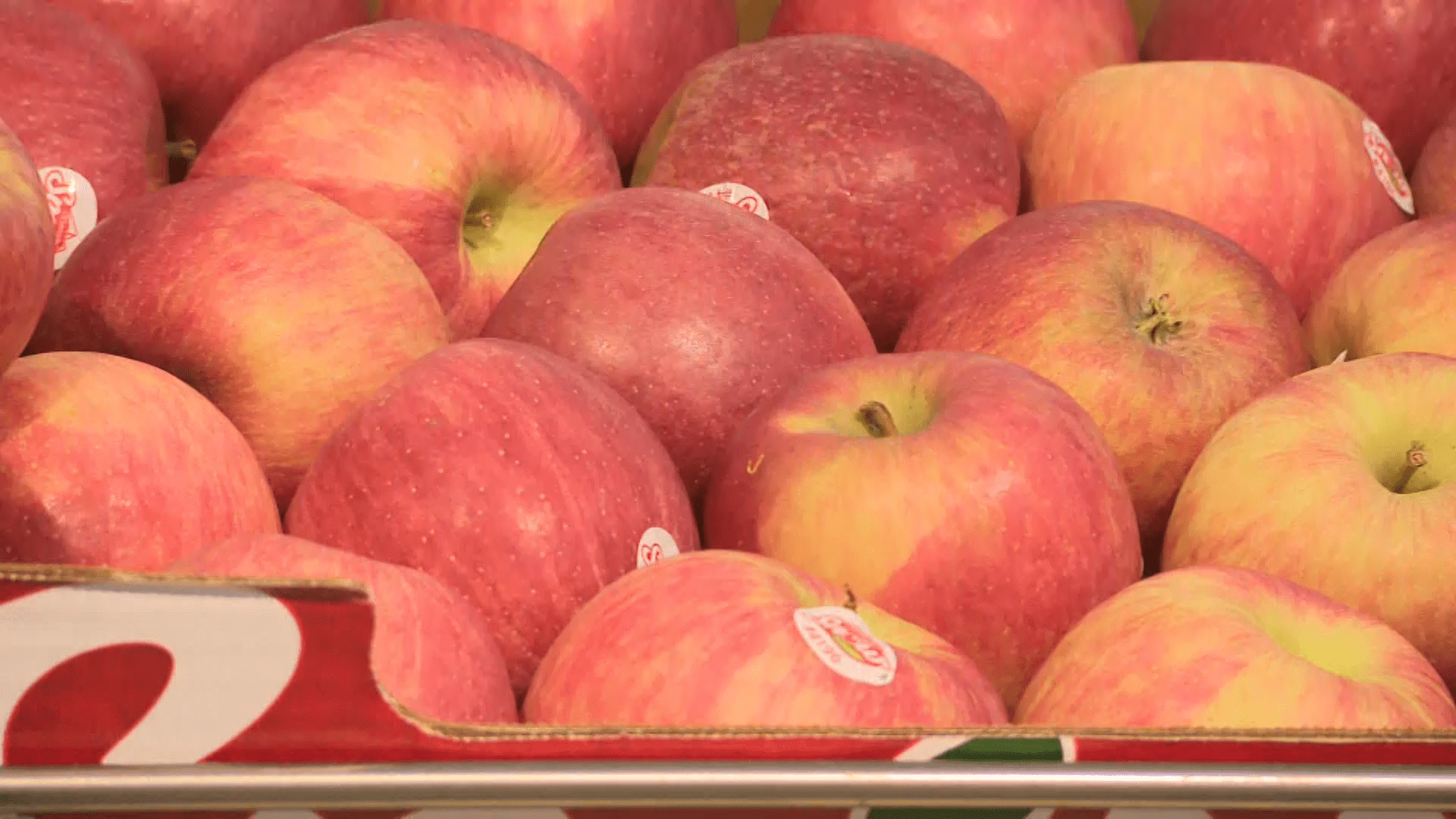 Obchodní řetězce preferují polská jablka kvůli jejich ceně, říkají někteří čeští ovocnáři.