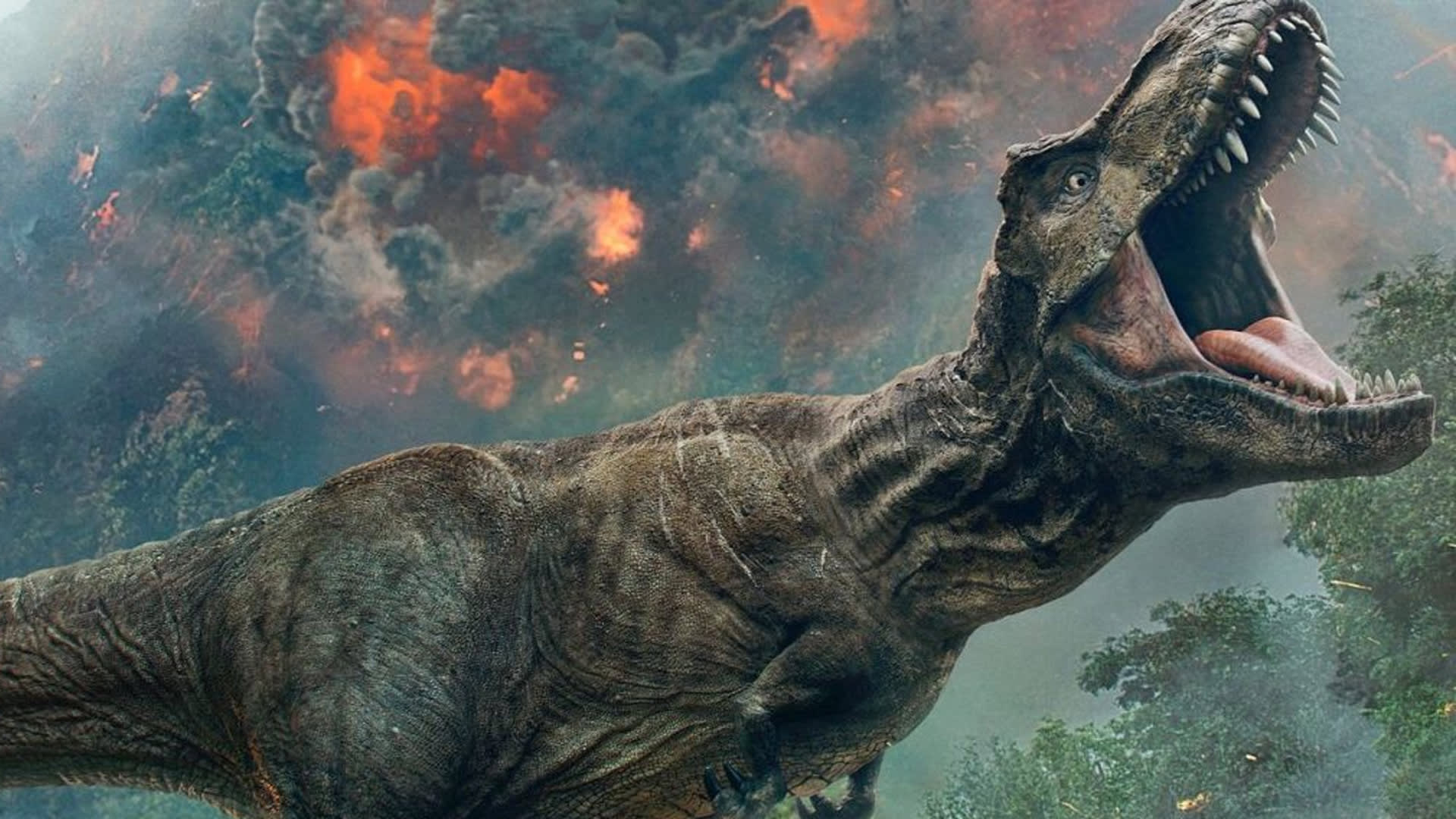 T-rex zřejmě lovil ve smečkách