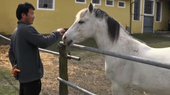 Na koni projel půl Evropy, v Česku ale dobrodruh narazil. Když stavěl stan, zvíře mu uteklo