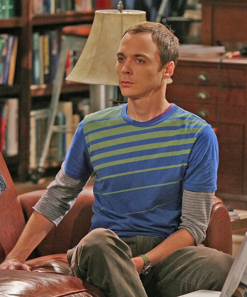 Role fyzika Sheldona Coopera z něj udělala globálně slavnou superstar.
