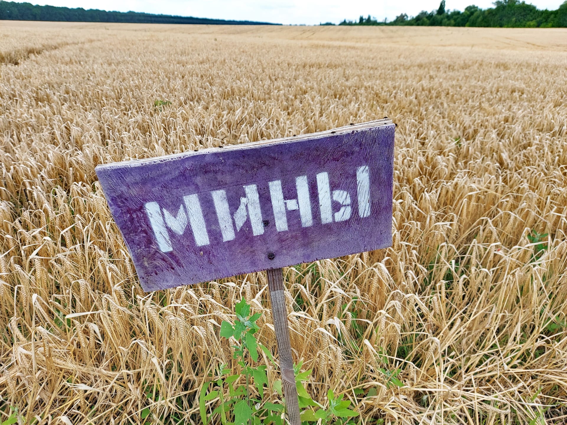 Varování před minami na jednom z ukrajinských polí.
