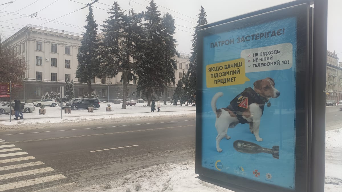 Patron, pes se skvělými výsledky při vyhledávání min, se v Ukrajině stal celebritou.