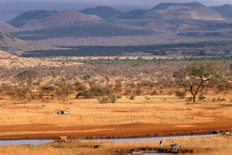 Keňský národní park Tsavo