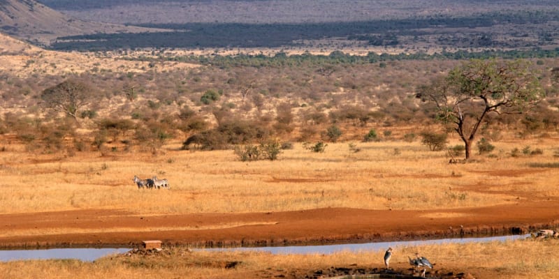 Keňský národní park Tsavo