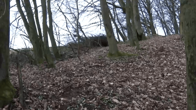 Lesníka během sázení stromů napadl u slovenské obce Nedožery medvěd