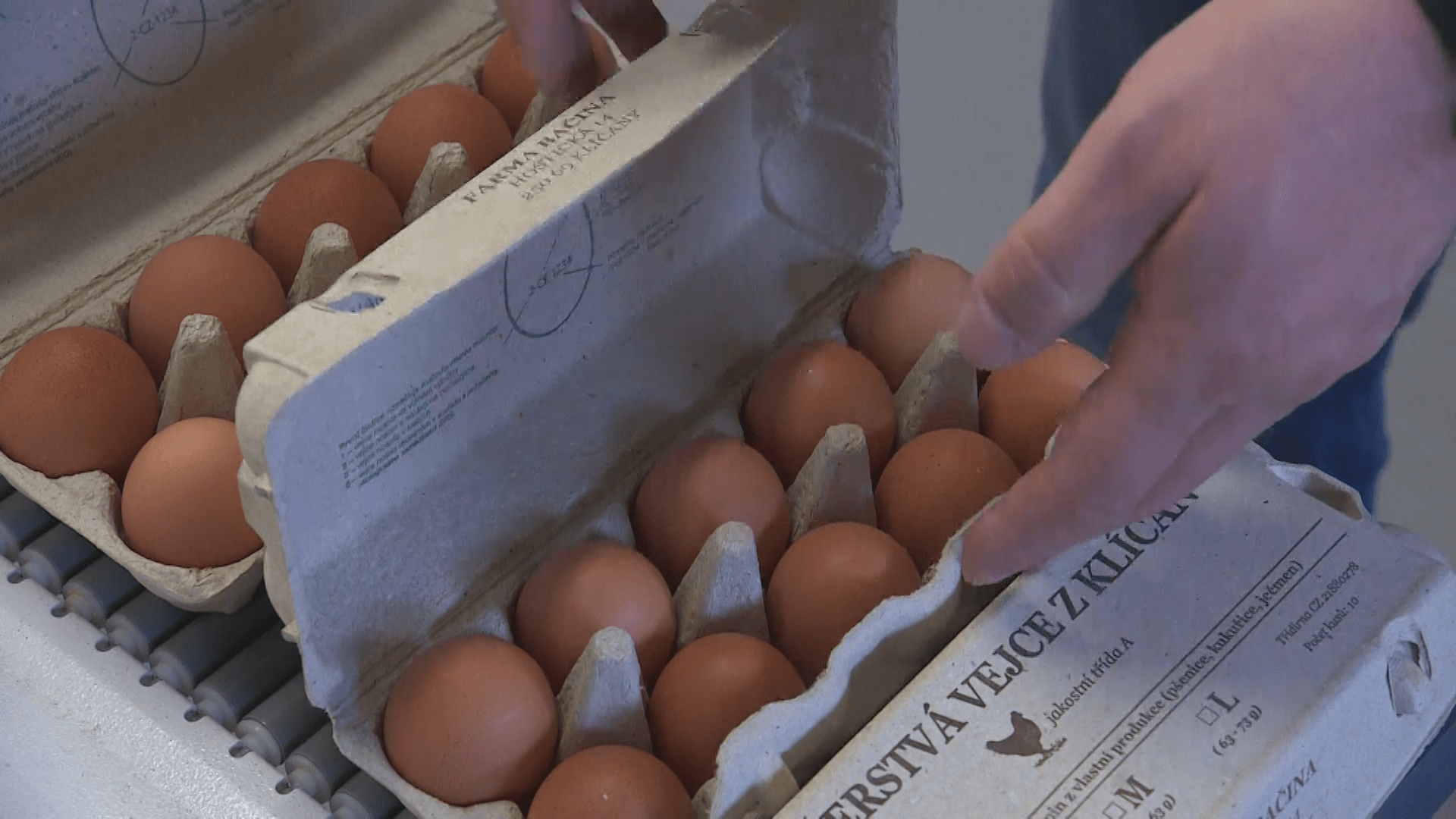 K Velikonočnímu pondělí, které je přesně za týden, bezesporu patří i vejce, která jsou výrazně dražší než před rokem – alespoň ta česká.