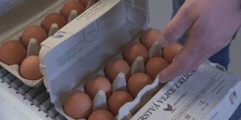 Supermarkety mají levná vejce, ale jen z dovozu. Čeští chovatelé kvůli zahraniční konkurenci zuří