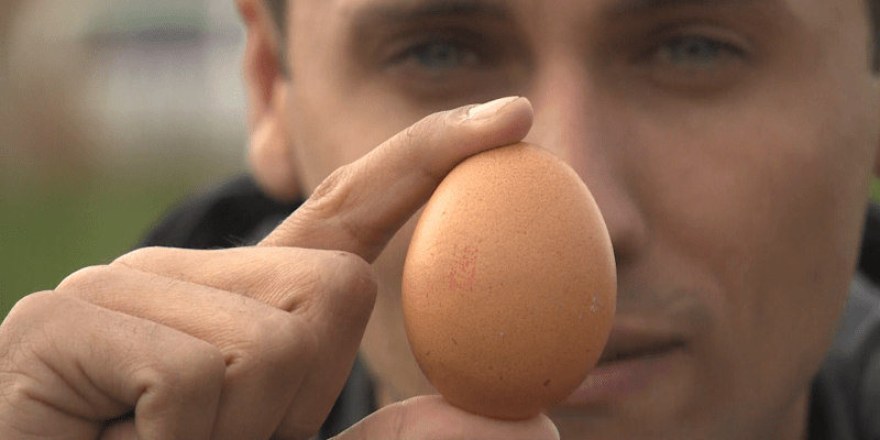 K Velikonočnímu pondělí, které je přesně za týden, bezesporu patří i vejce, která jsou výrazně dražší než před rokem – alespoň ta česká.