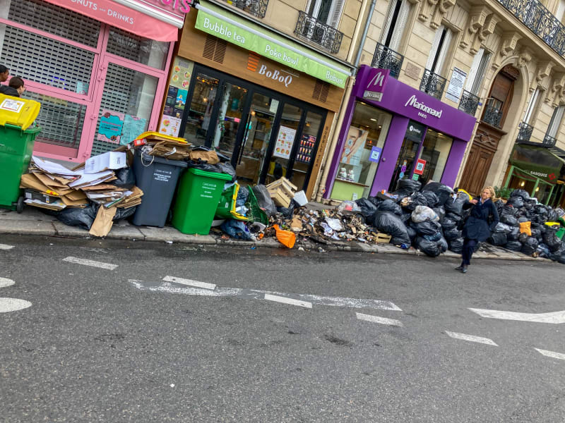 Paříž se během posledních týdnů proměnila v město plné odpadků či krys.