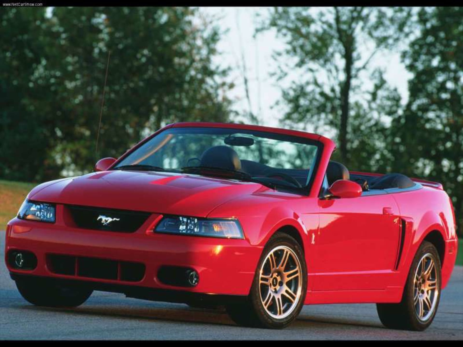 Ford Mustang - SVT Cobra Convertible (1999)