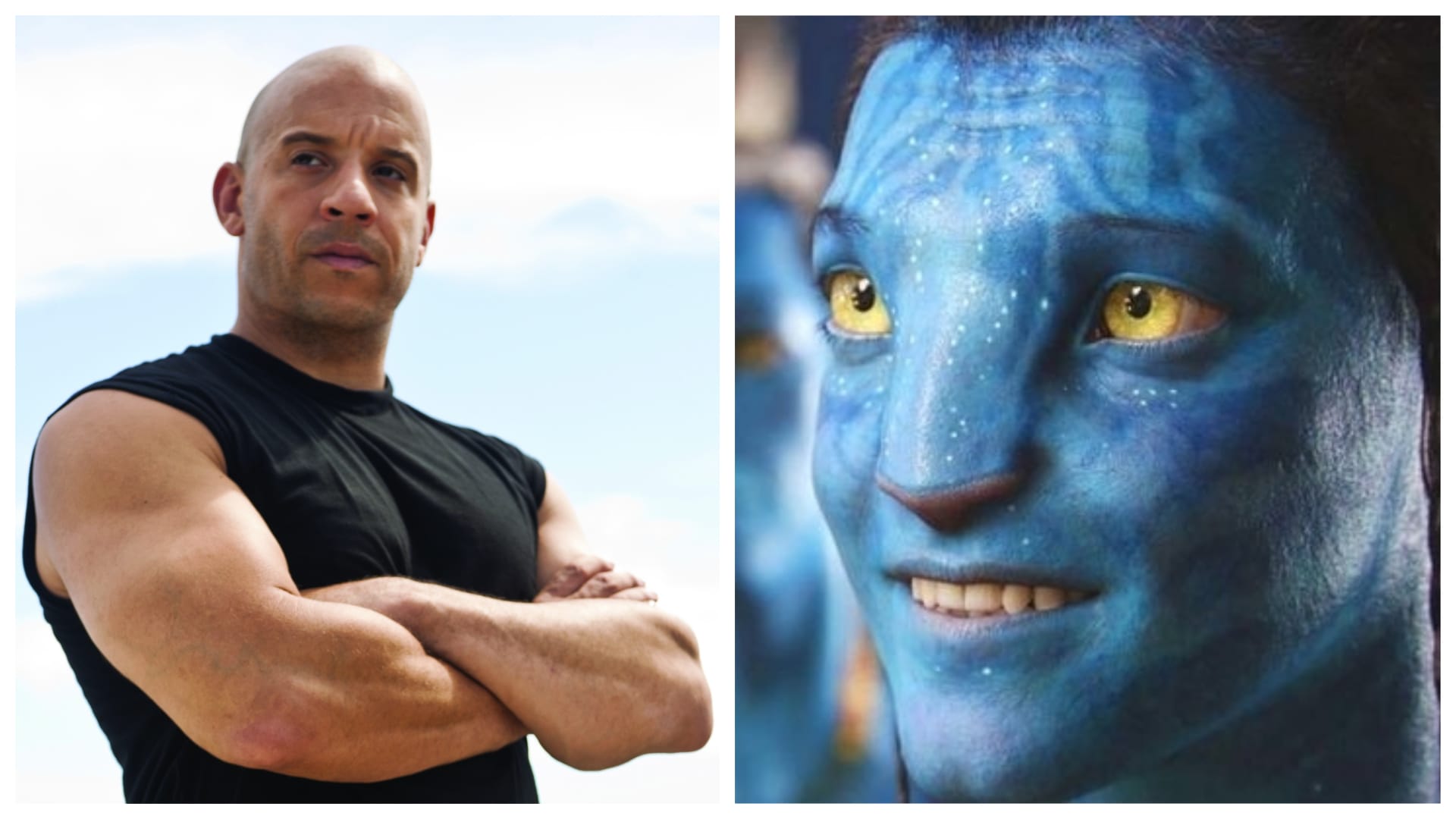 Vin Diesel promluvil o své roli v pokračováních Avatara