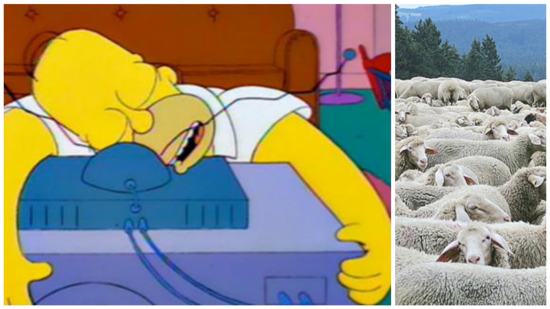 Homer potvrzuje - usínání u televize funguje!