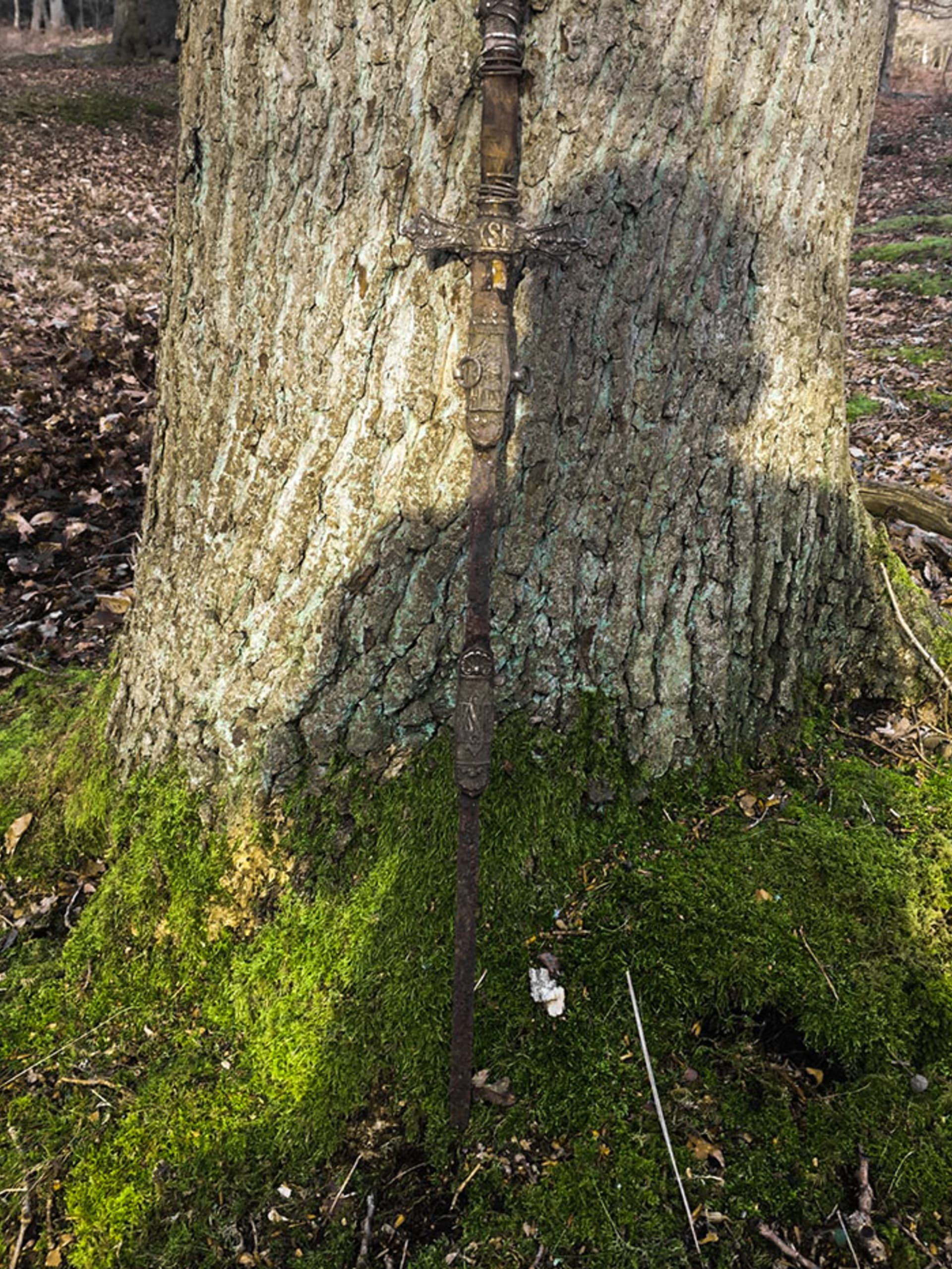 Zarostlý meč uprostřed anglického lesa