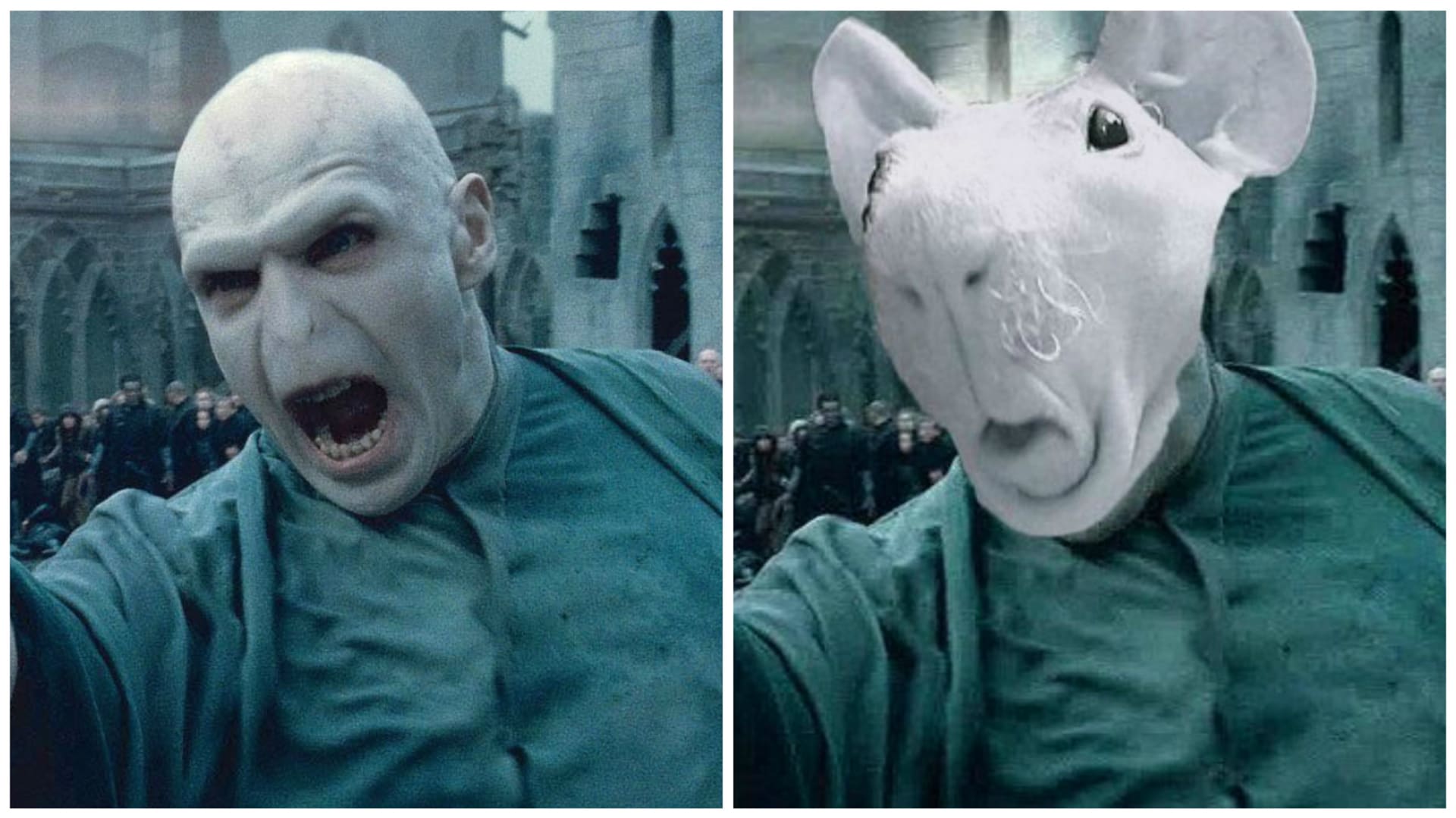 Morče se převtělilo taky do Voldemorta