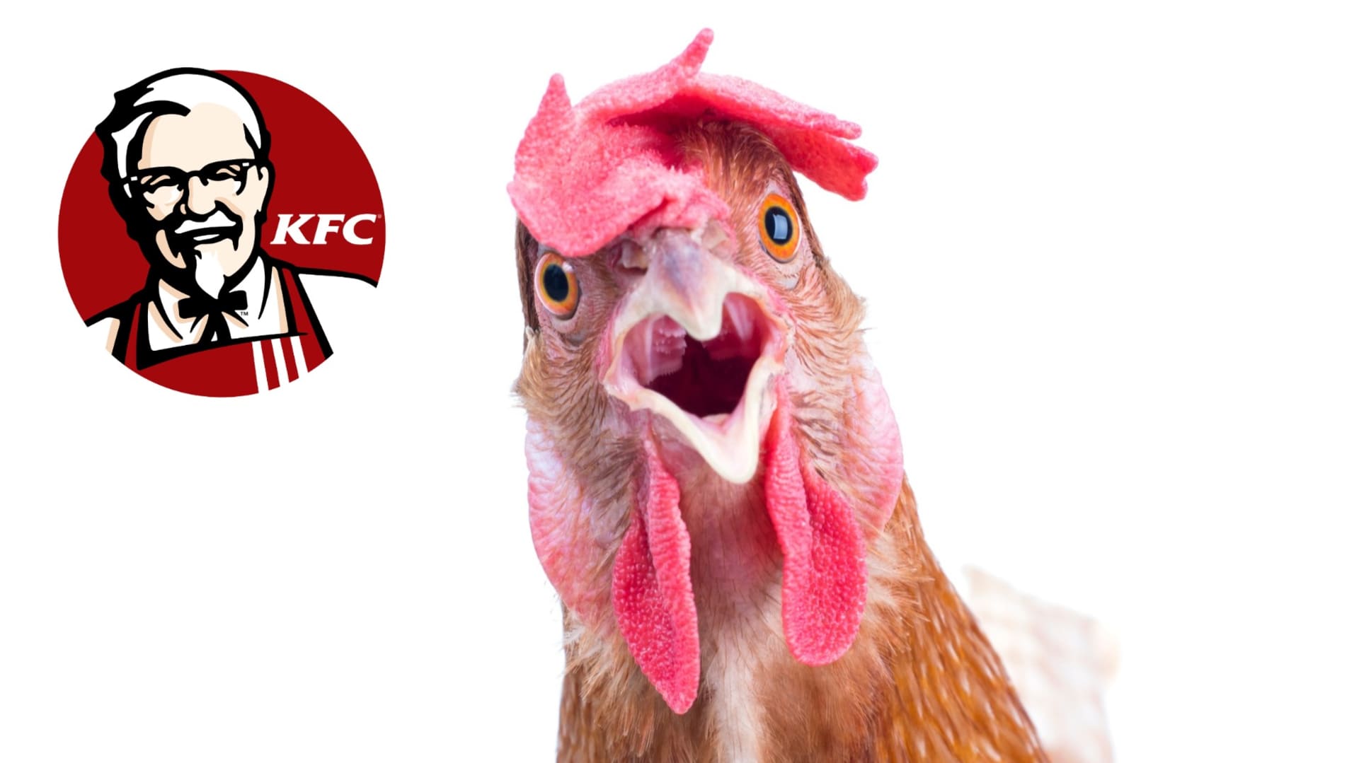 KFC pracuje na tištěné verzi svého masa