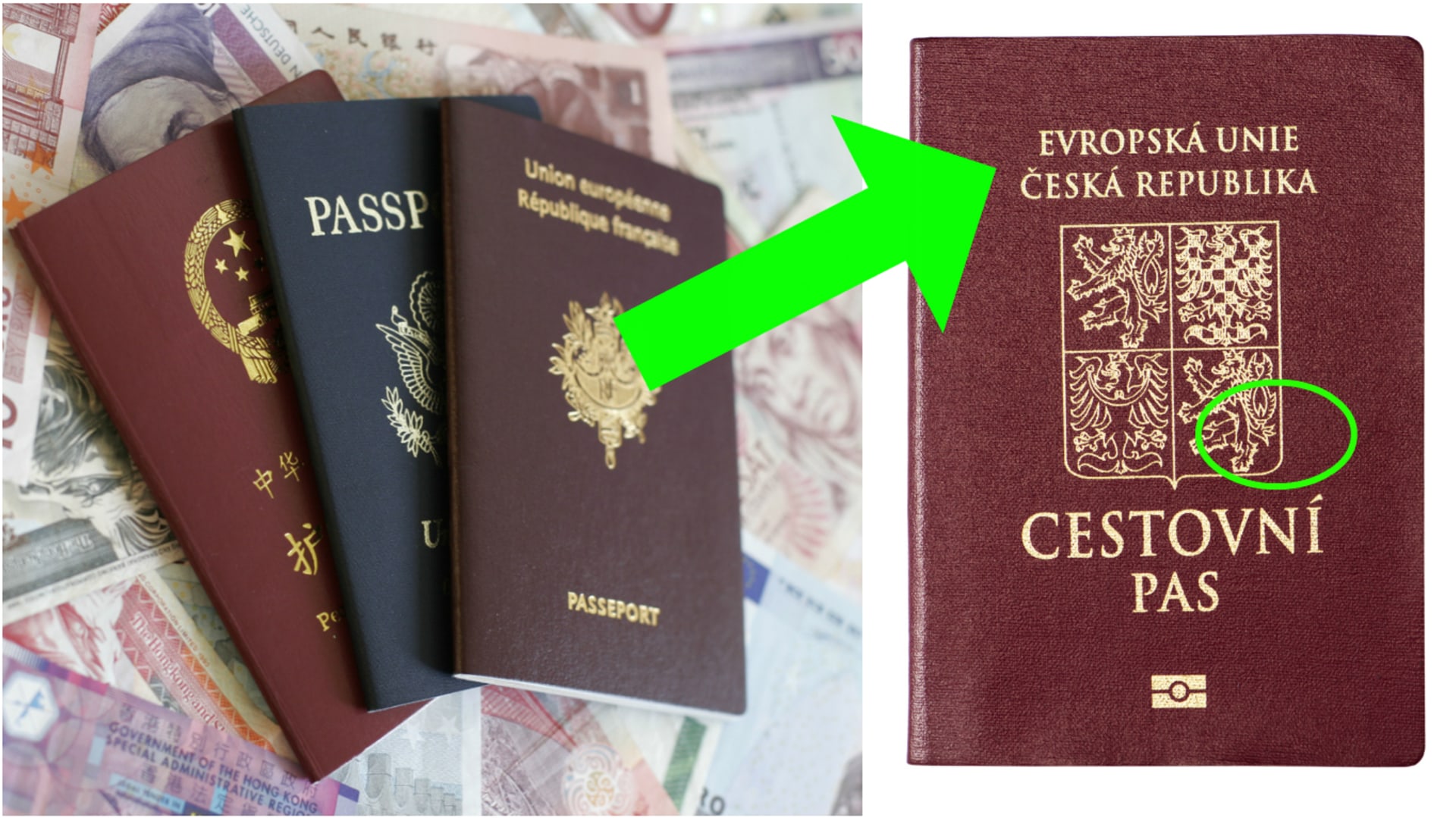 Barvy cestovních pasů
