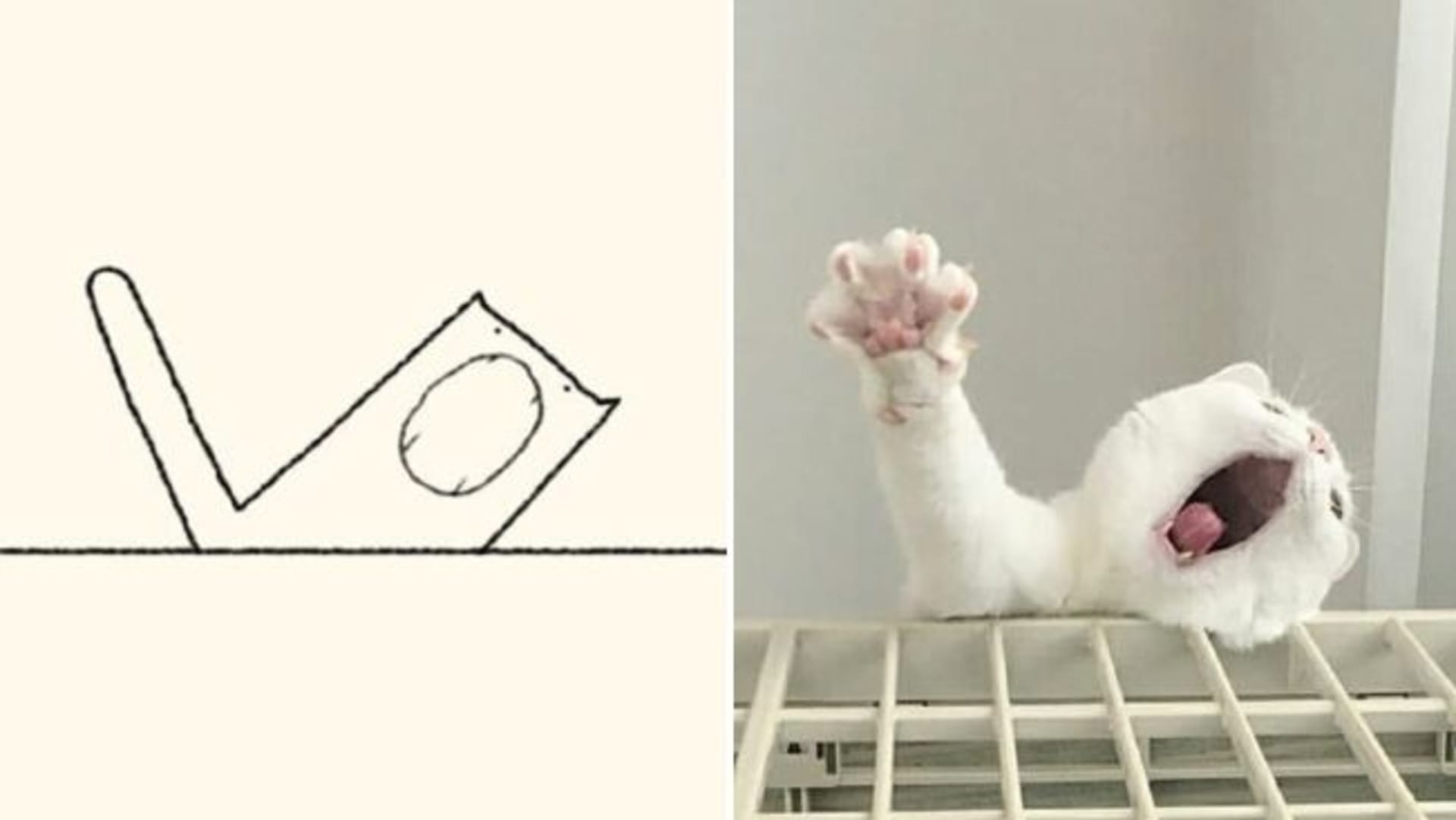 Minimalistické kresby koček