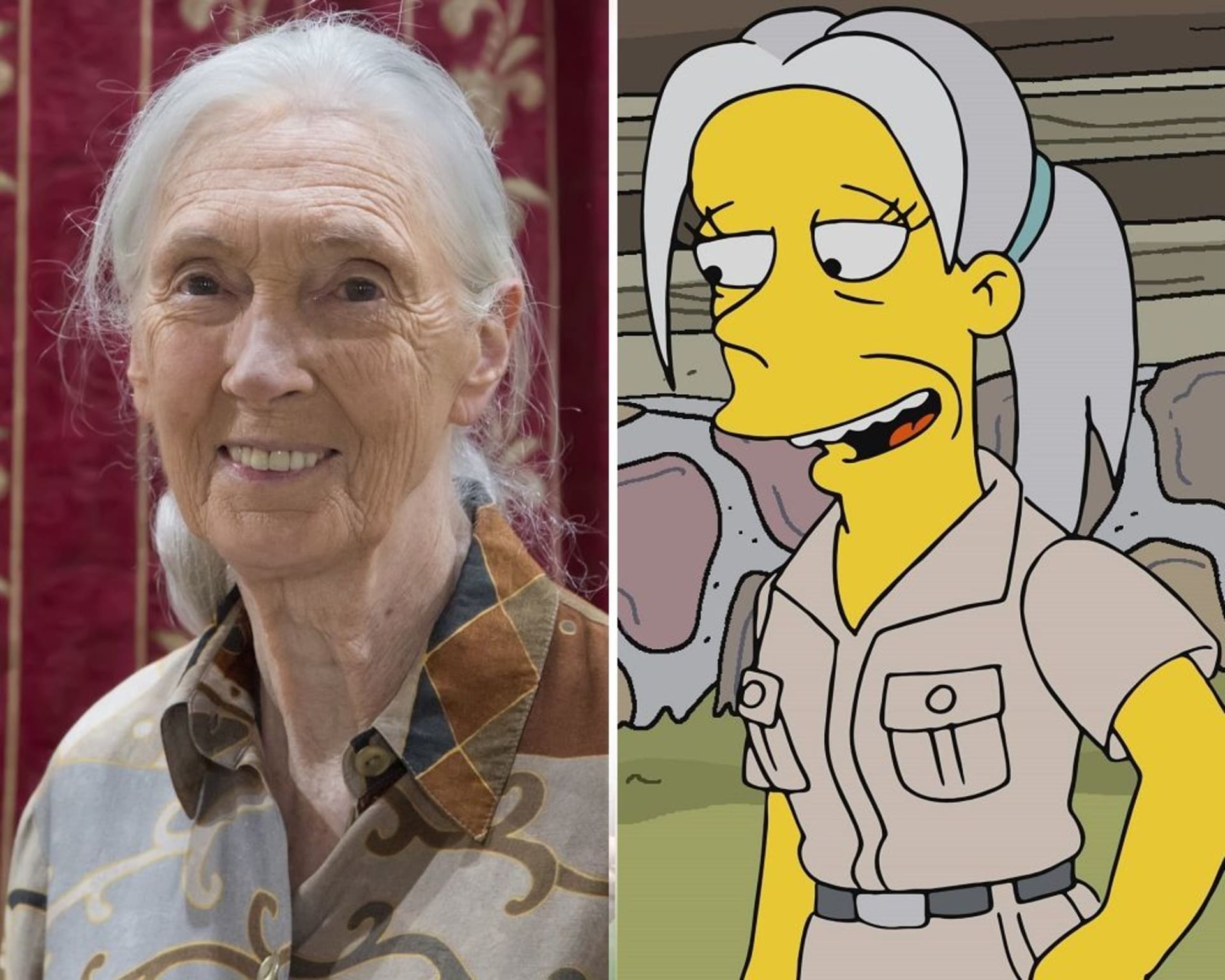 Jane Goodall/Simpsonovi