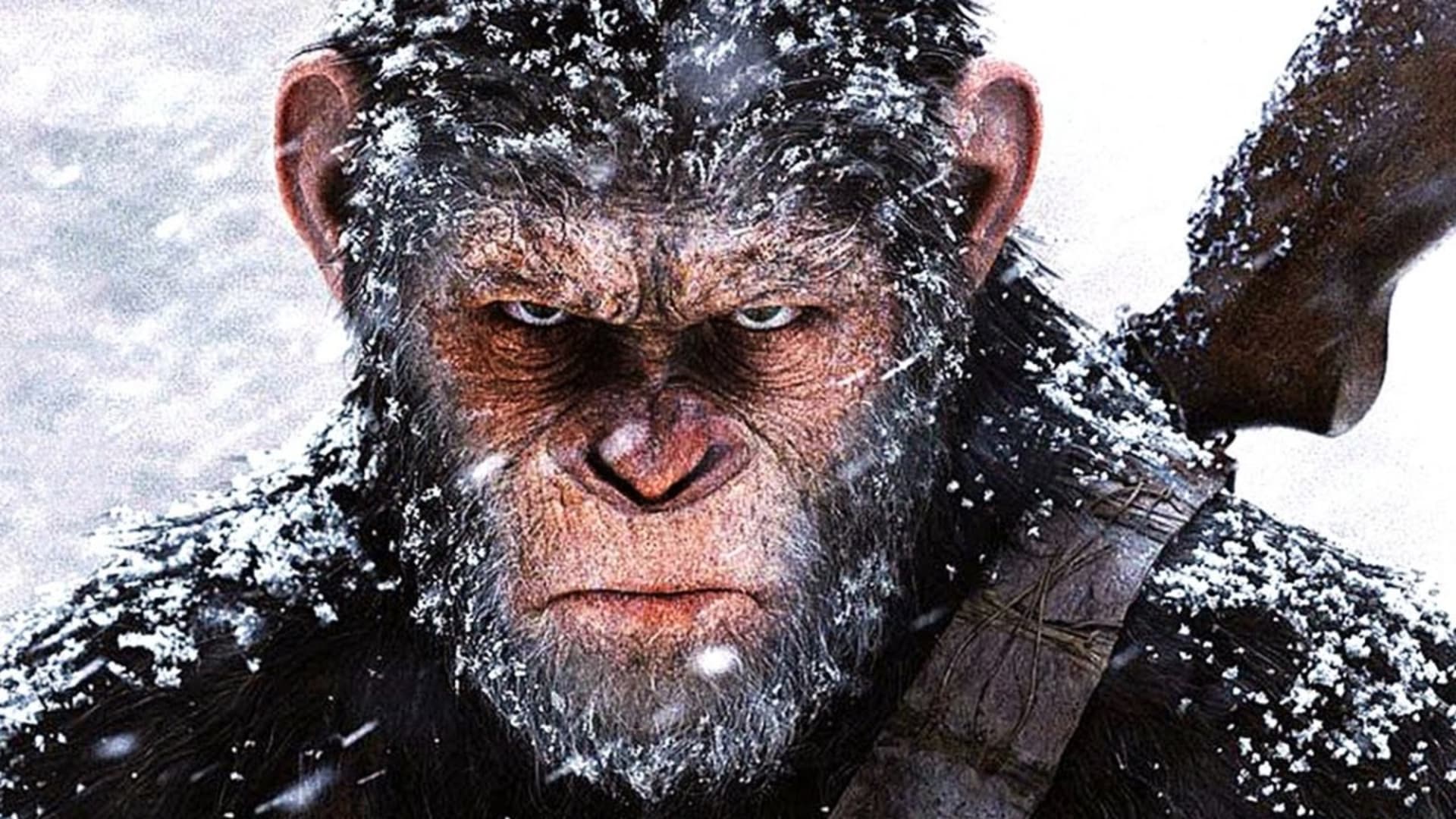 Opičí lídr Caesar ze filmové série Planeta opic