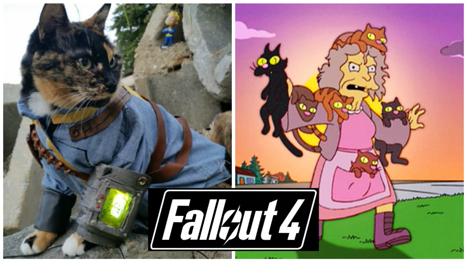 Kočíčí šílenství ve Falloutu