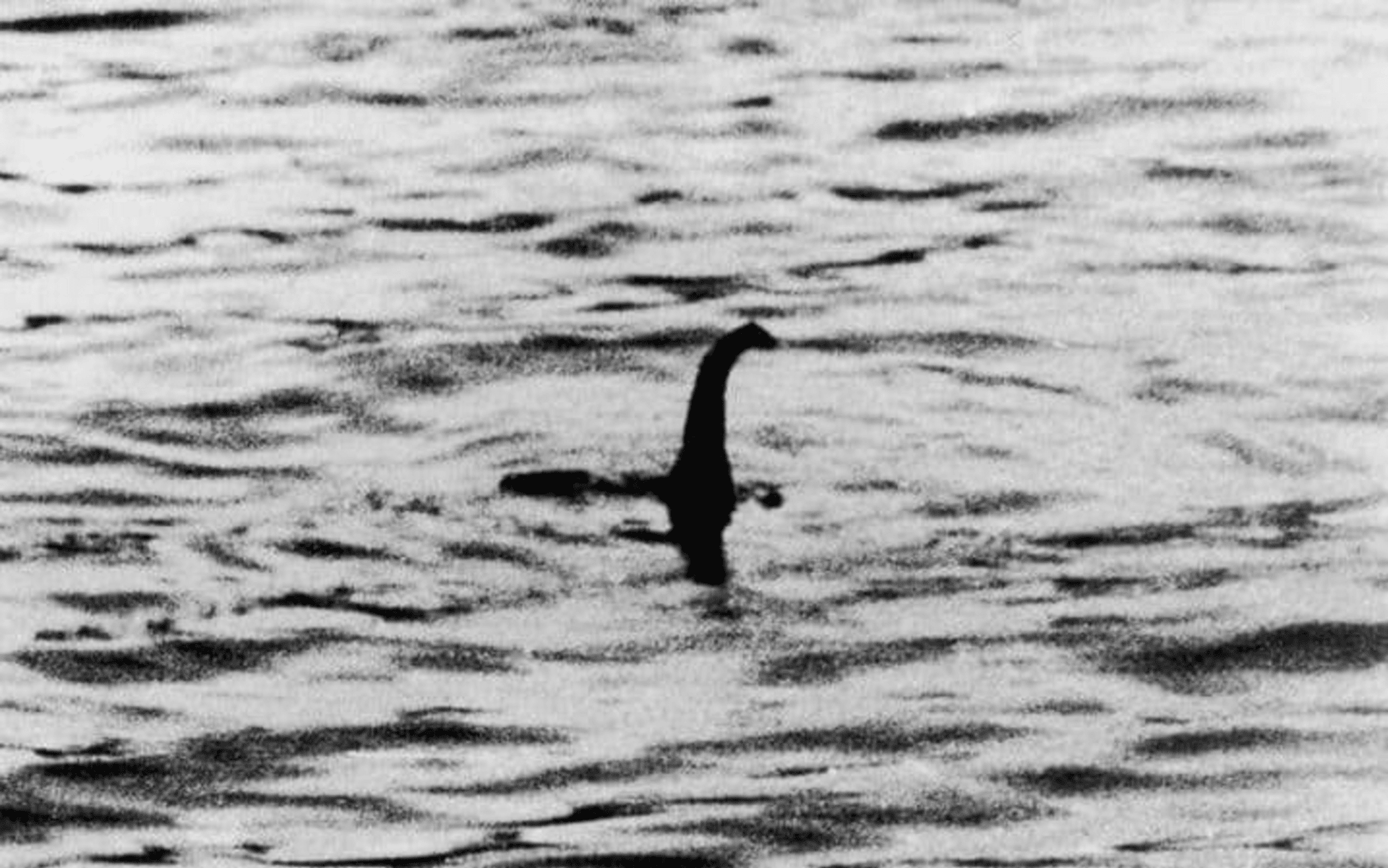 Nejznámější foto Nessie