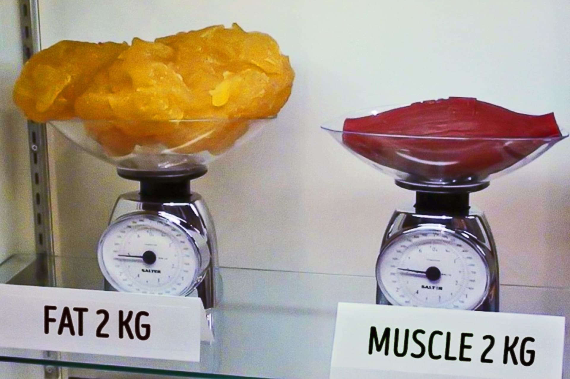 Dvě kila tuku mají podstatně větší objem než dvě kila svalů.