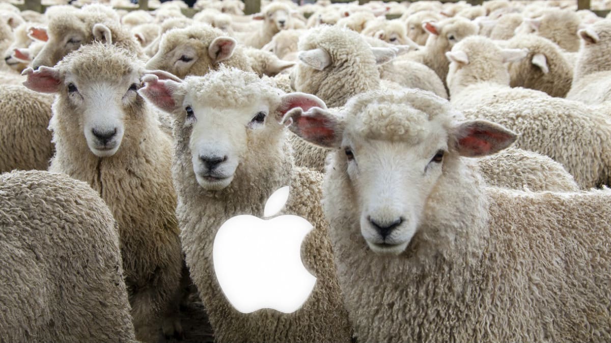 Nejvěrnější ovečky má mezi mobilními telefony Apple