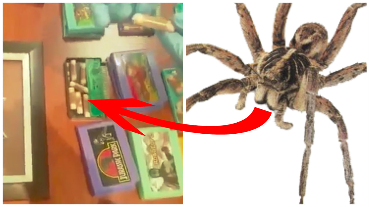 Pašeráci pašují pavouky schované ve hrách pro Nintendo