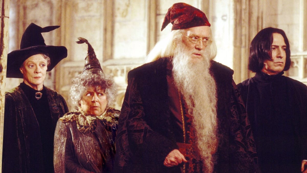 Bradavičtí profesoři z filmové ságy Harry Potter