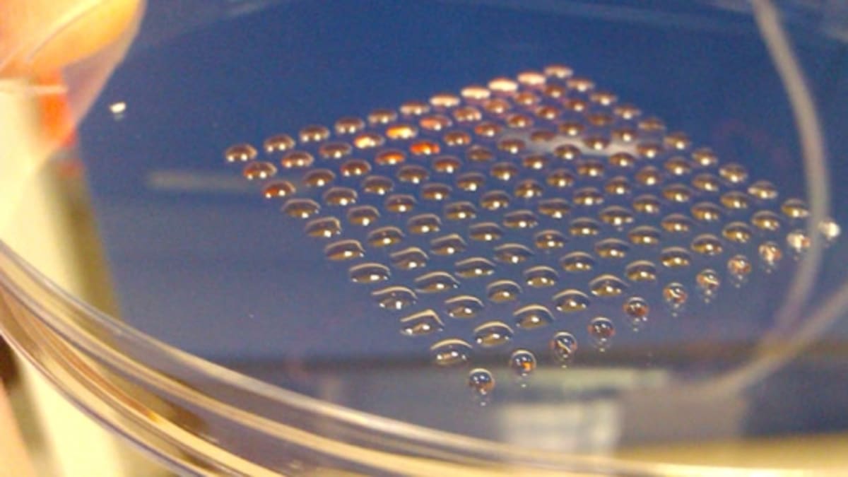 3D printed embryonic stem cells