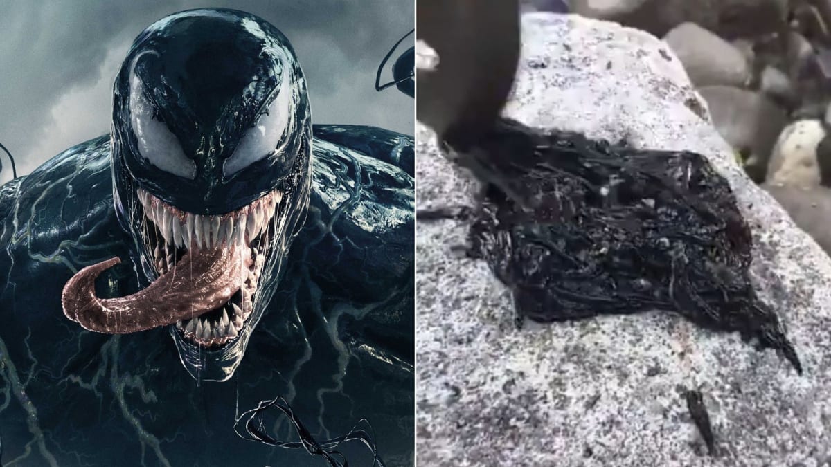 Temná živoucí hmota zaujala hlavně fanoušky Venoma