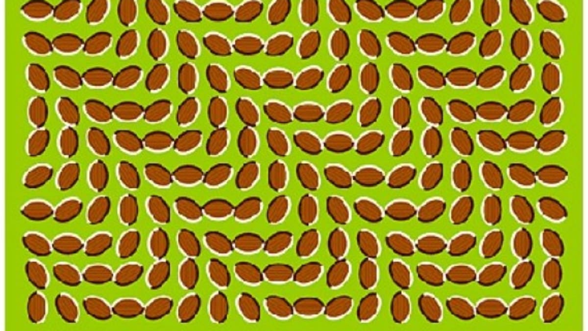 Dokonale fungující optické iluze