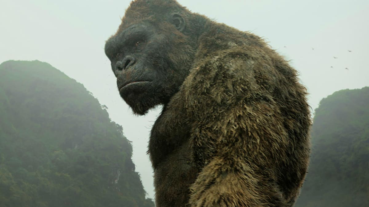 King Kong se chystá na střet s Godzillou (Kong: Ostrove lebek)