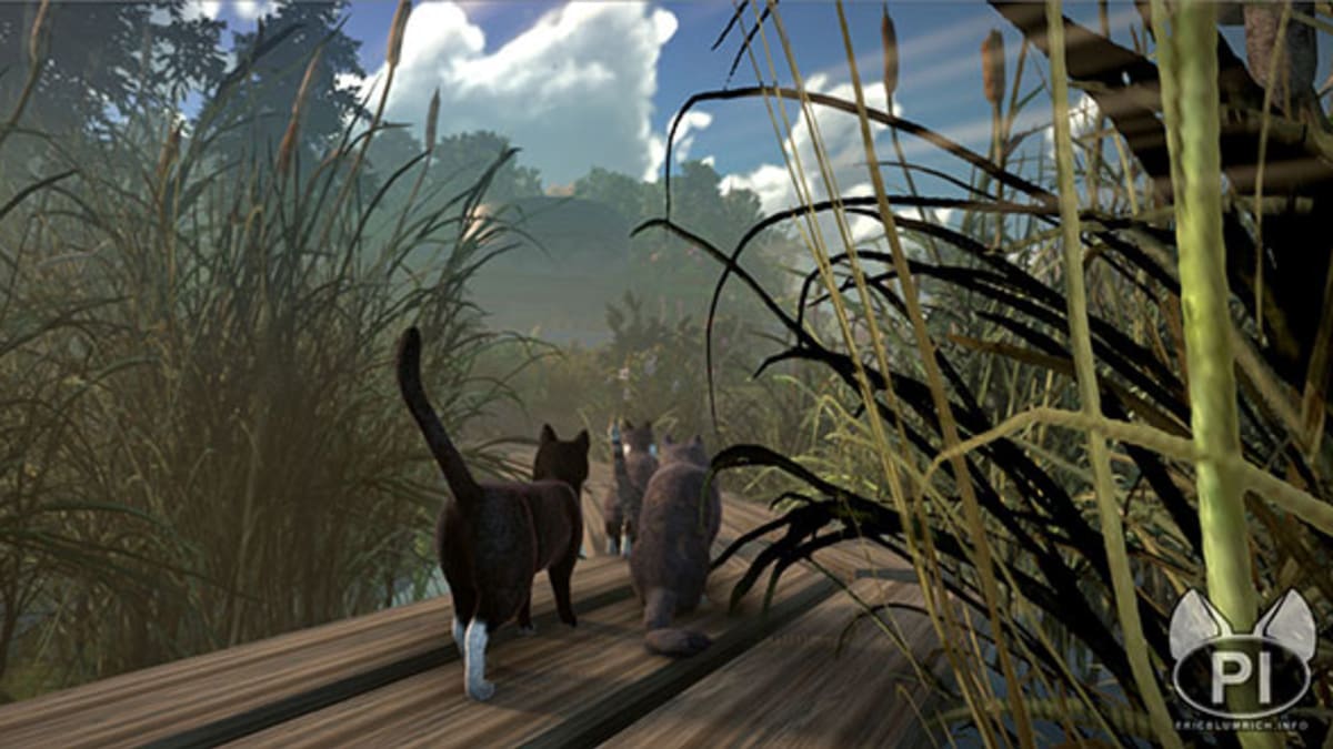 Kočičí výprava ve hře Peace Island