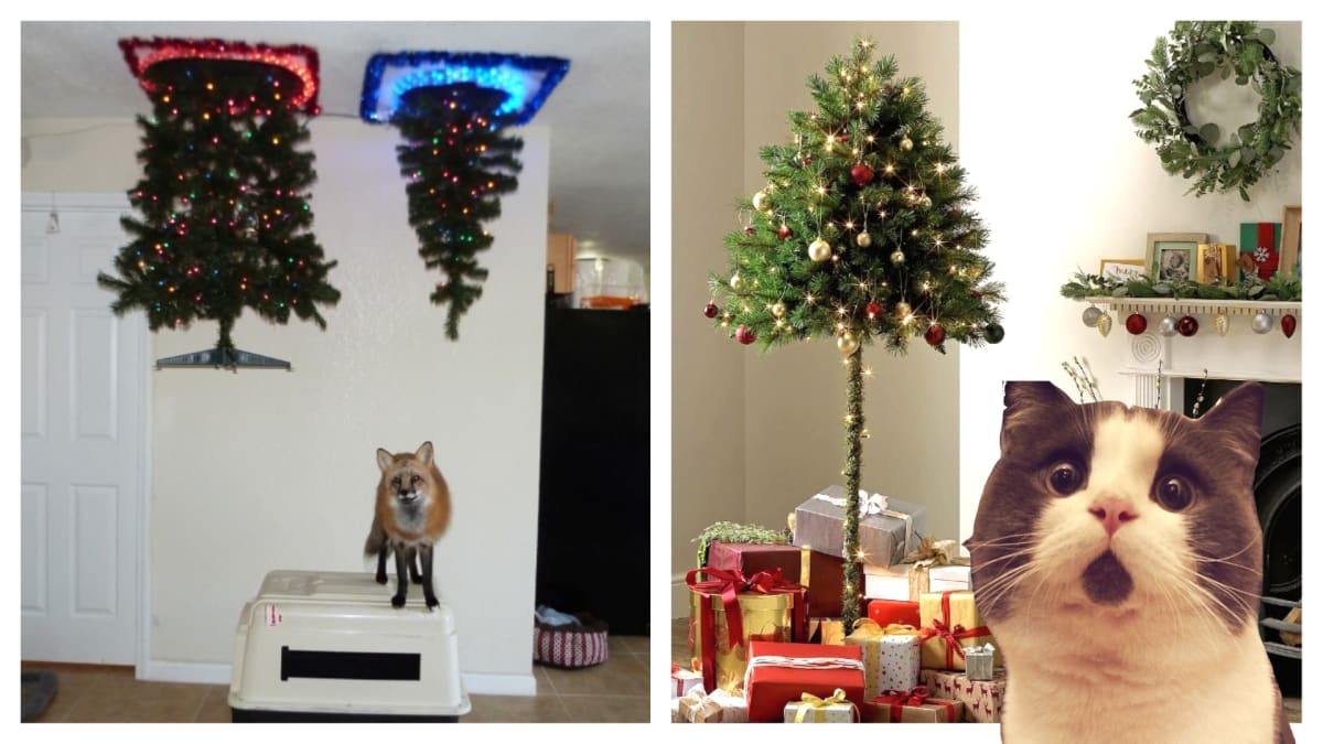 Vánoční stromky přizpůsobené kočkám a psům