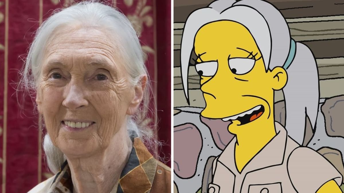 Jane Goodall/Simpsonovi