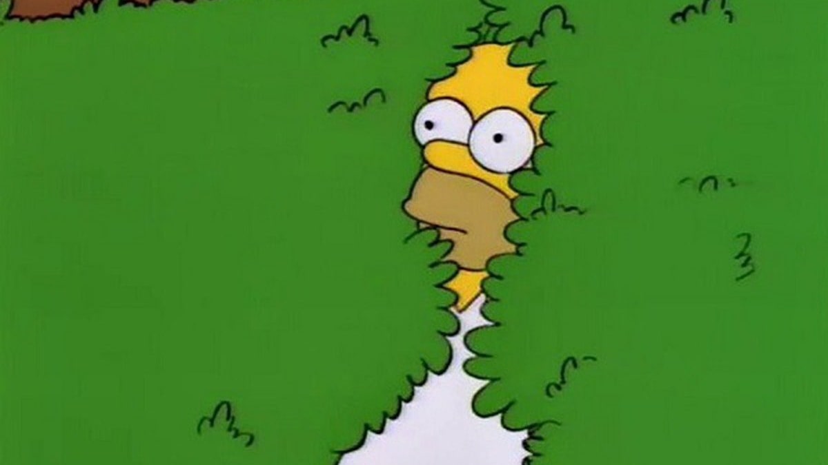 Homer se schovává v křoví