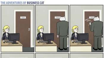 Kočičí boss!