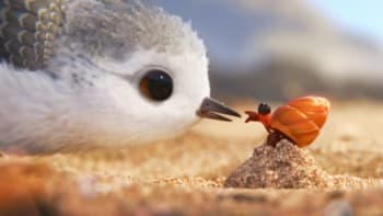 VIDEO: Nejkrásnější animák roku je tady! Podívejte se na celou novou pixarovku Ptáčátko